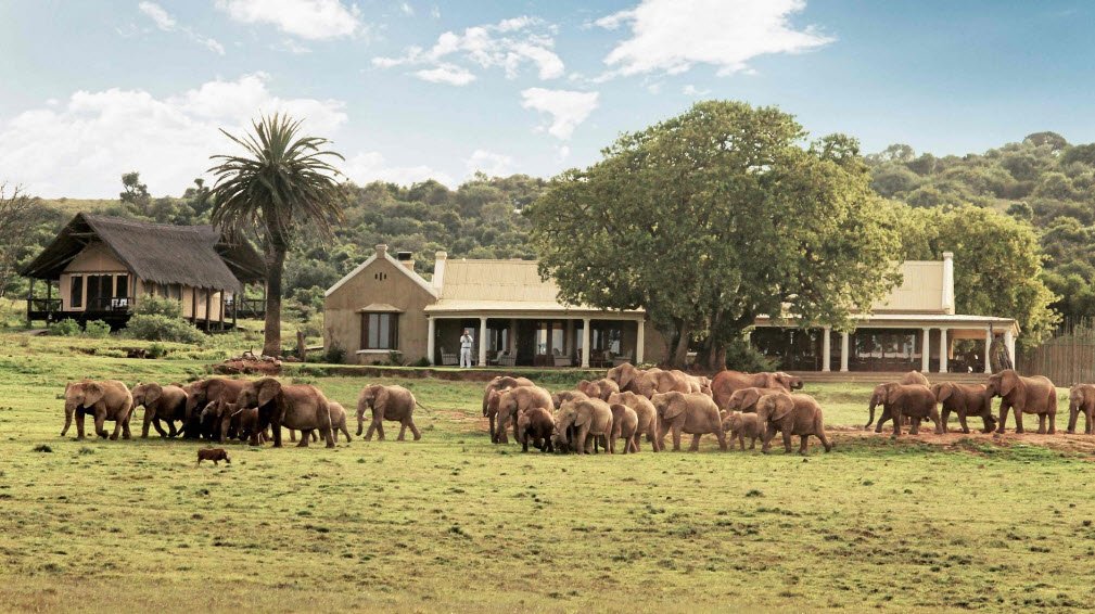 Addo Elephant National Park, Eastern Cape, South Africa